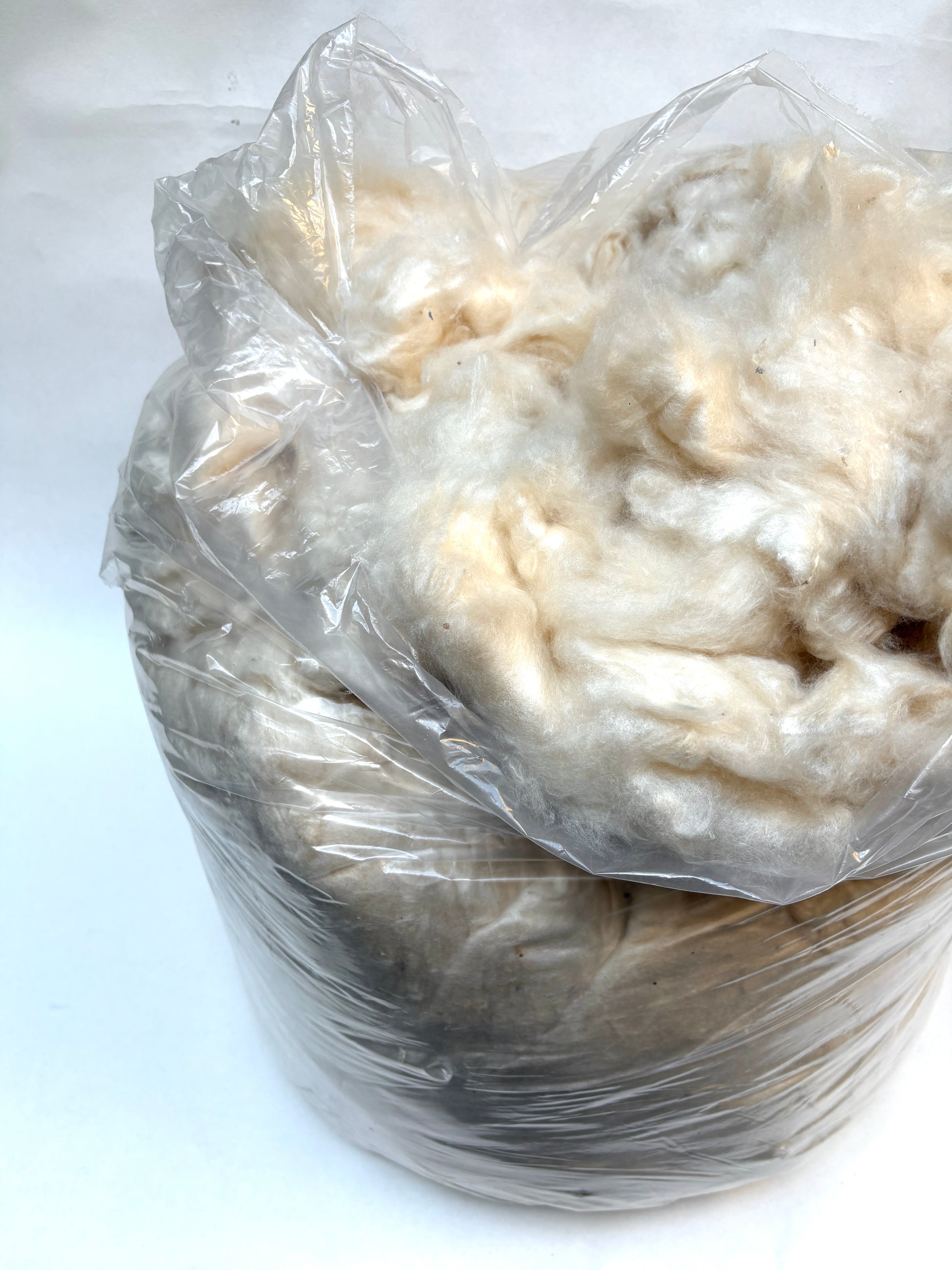 A plastic bag filled with soft off-white fibre.