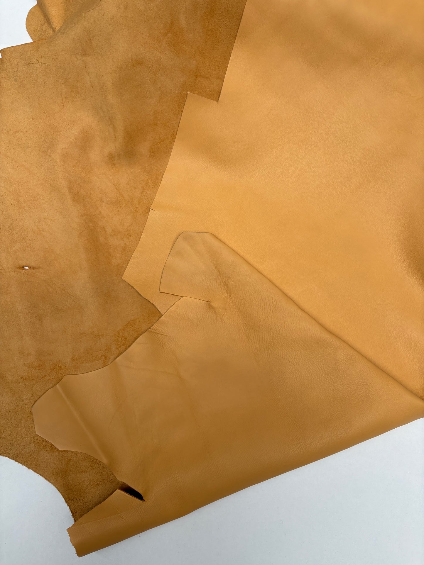 Close-up of caramel leather on a white background
