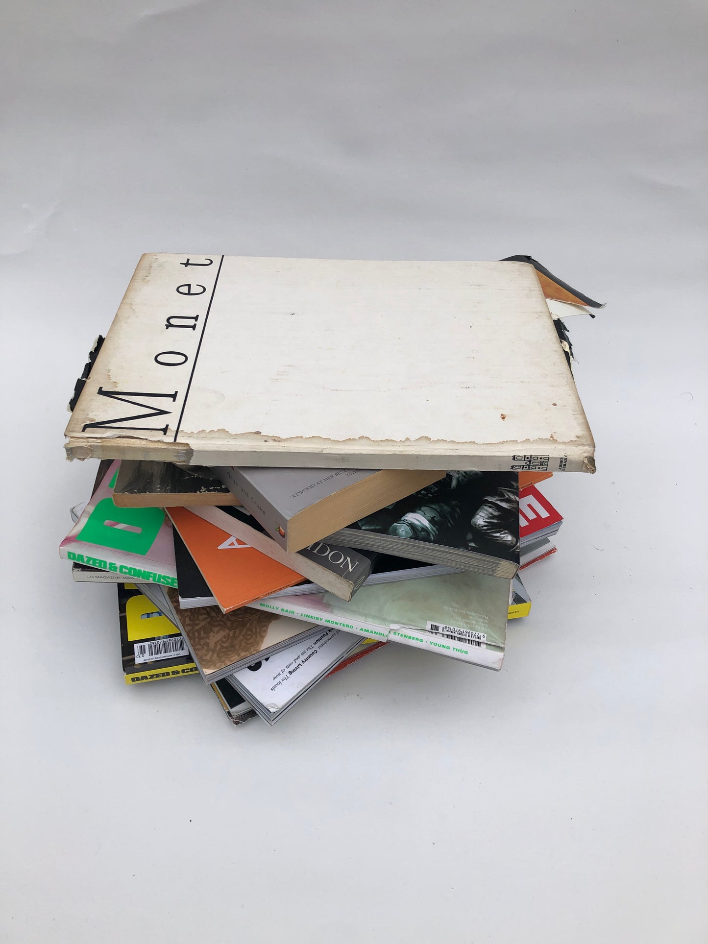 Piles of paper magazines and books, some torn and stained 