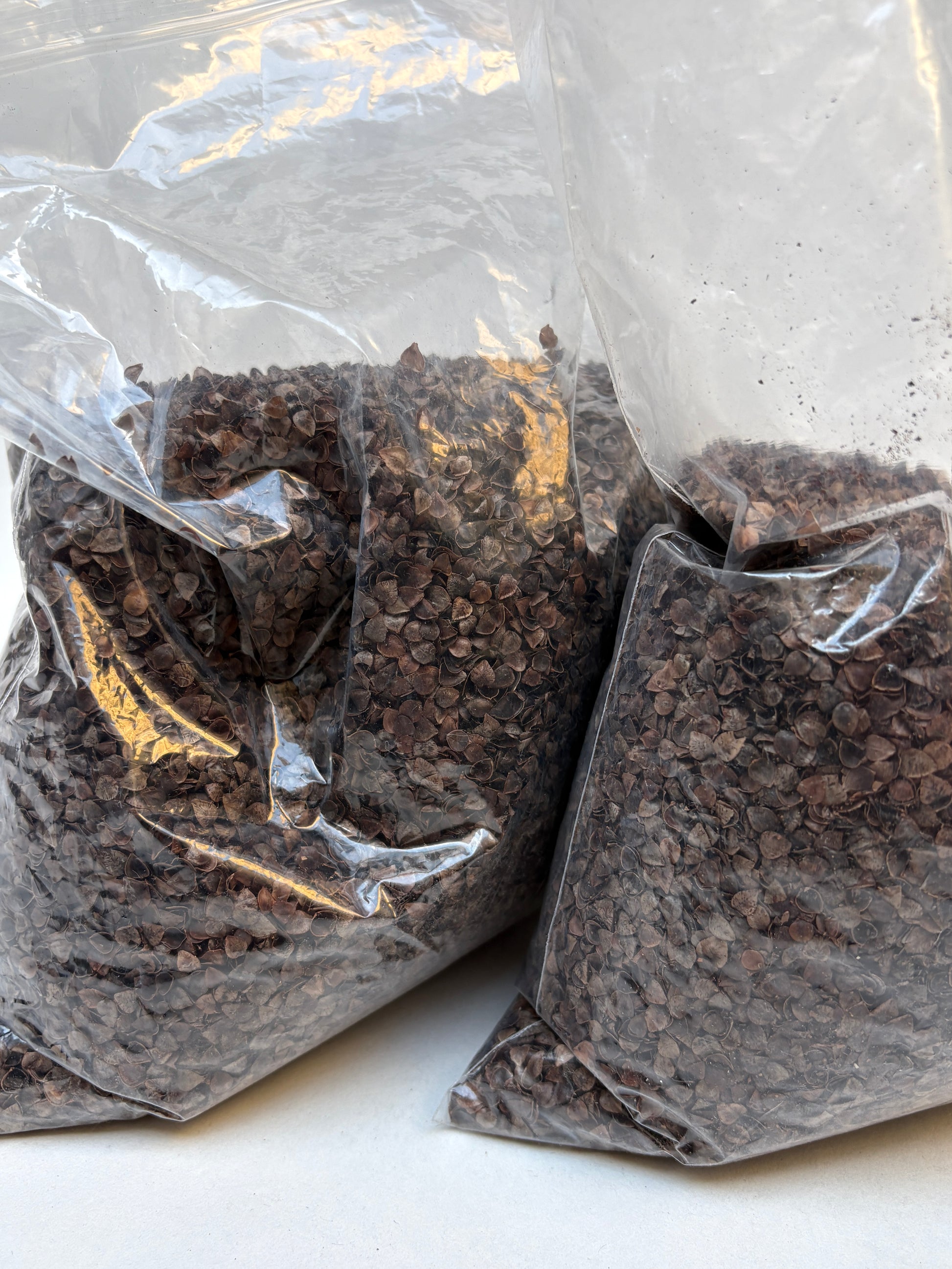 Fluffy pale fibre sits inside a clear plastic bag