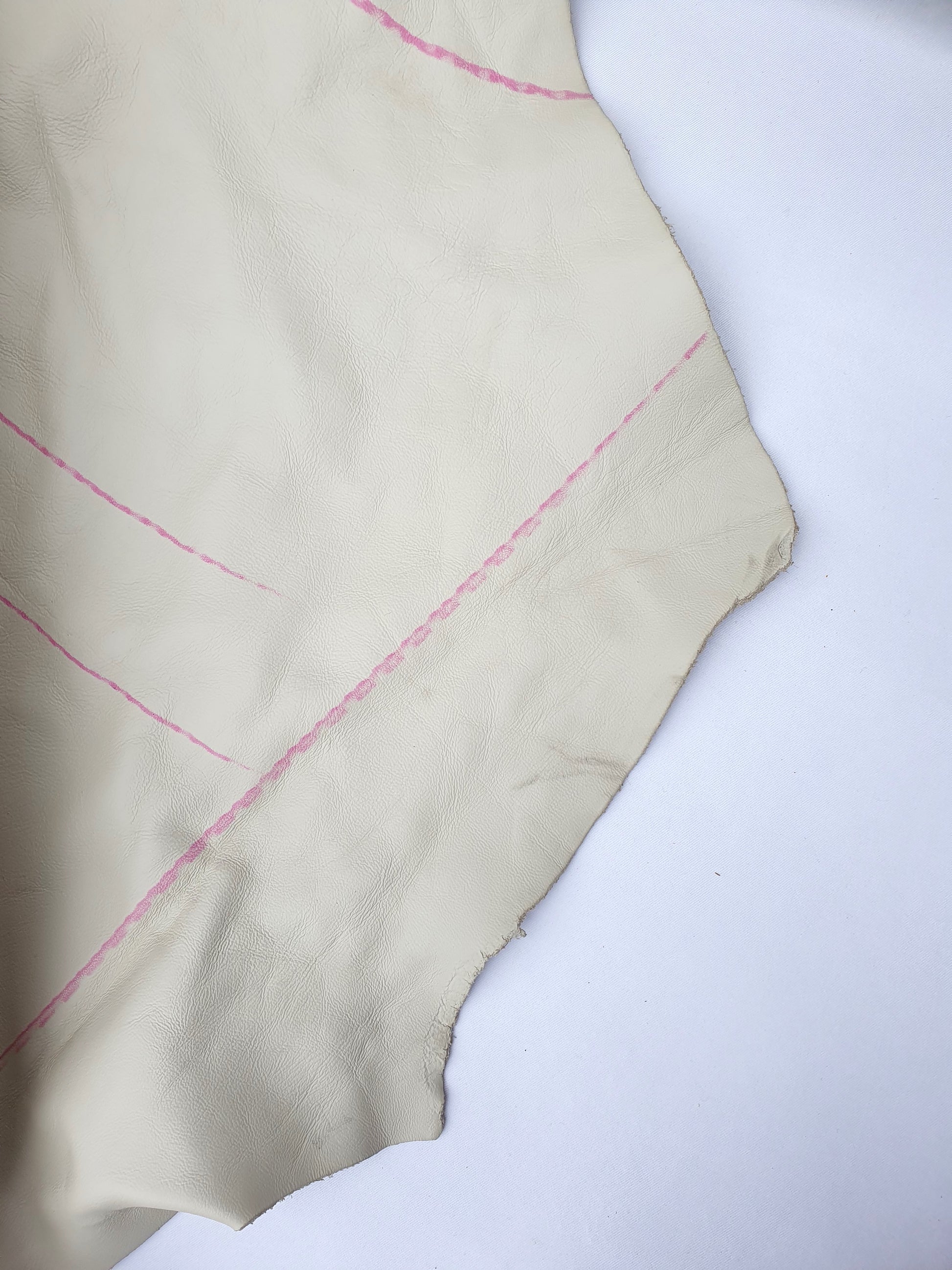 Unfolded cowhide bone white rolled leather with visible marking lines